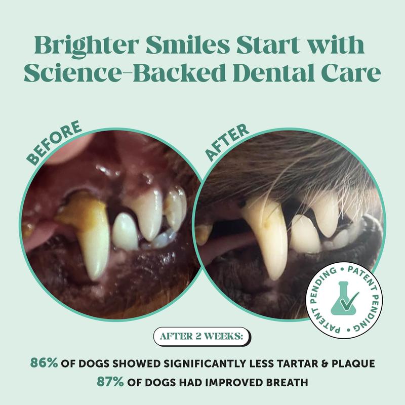 Dog Dental Powder™