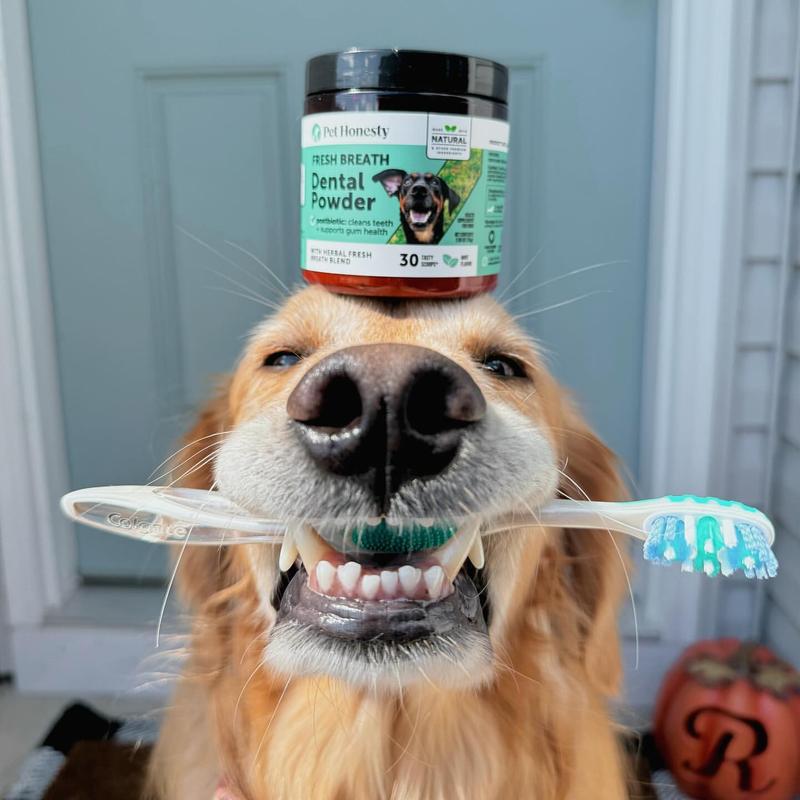 Dog Dental Powder™