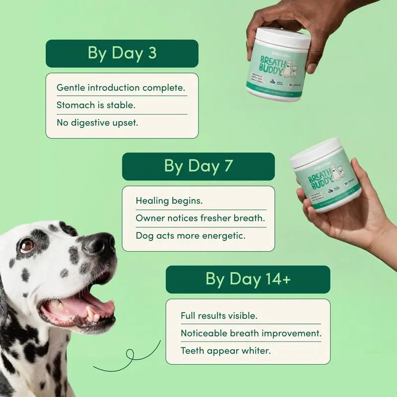 Breath Buddy™ Dog Dental Powder for Fresh Breath & Clean Teeth Kivori