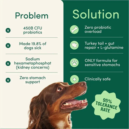 Breath Buddy™ Dog Dental Powder for Fresh Breath & Clean Teeth Kivori