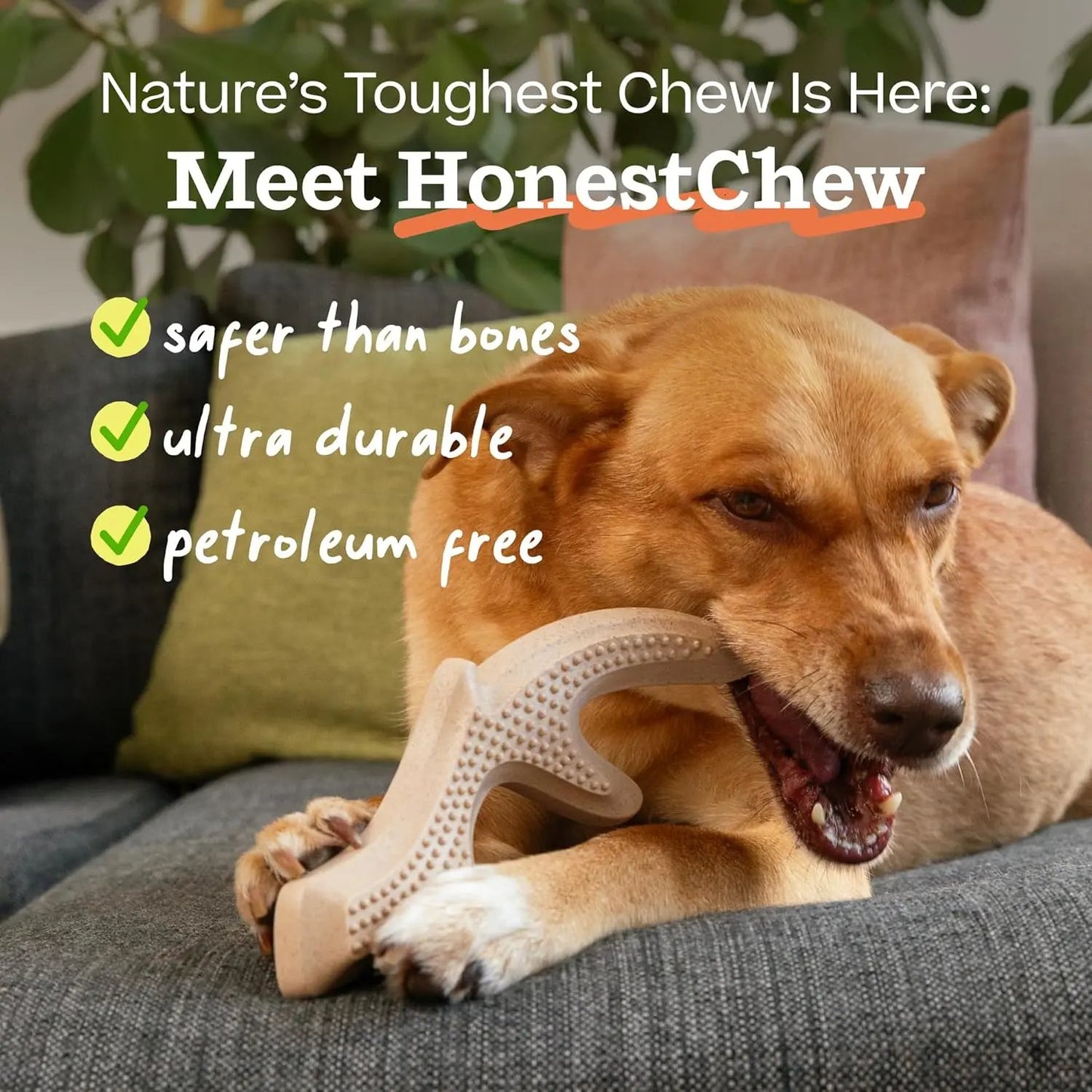 HonestChew Dog Toy - For Dental Support & Distraction Kivori